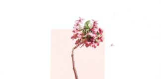 Εορτολόγιο: Ποια ονόματα γιορτάζουν σήμερα, Δευτέρα 1 Απριλίου